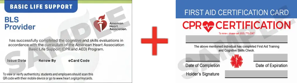 Sample American Heart Association AHA BLS CPR Card Certificaiton and First Aid Certification Card from CPR Certification Clearwater